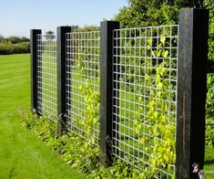 a row of black metal fence with green plants growing on it