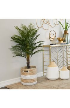 three potted plants are sitting on a shelf in front of a white wall with gold accents