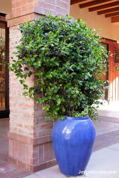 a large blue vase sitting next to a brick building