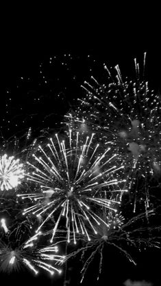 black and white fireworks in the night sky