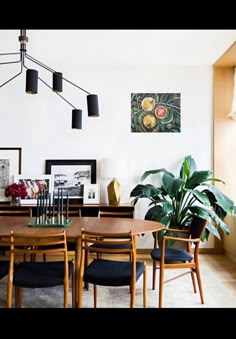 a dining room table with chairs and pictures on the wall above it, in front of a potted plant