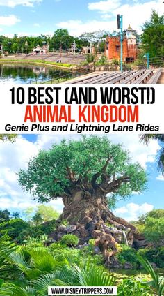 an animal kingdom with the title 10 best and worst animal kingdom, genius plus and lightning lane rides