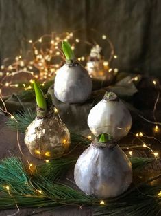 three garlic bulbs are sitting on a table next to some christmas lights and greenery