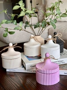 three ceramic containers are sitting on top of some books and a potted plant is in the background