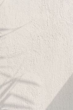 the shadow of a palm tree is cast on a white stucco wall with a plant