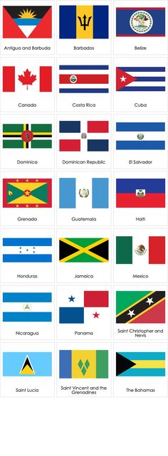 the world's flags are shown in different colors