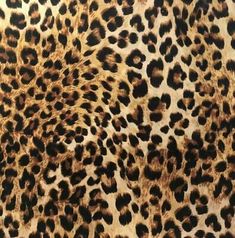 an animal print pattern is shown in brown and black colors on the skin of a cheetah