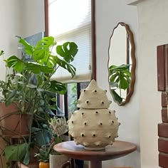 a potted plant sitting on top of a table next to a mirror and other plants