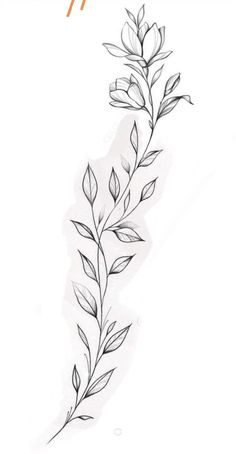 Flower Vine Tattoo Stencil, Vine Tattoo Around Ankle, Wrap Around Vine Tattoo Stencil, Vines Tattoo Stencil, Lavender Wrap Around Tattoo, Vine Leaf Tattoo, Vines Tattoo Design, Branch Tattoo Design, Leaf Vine Tattoo