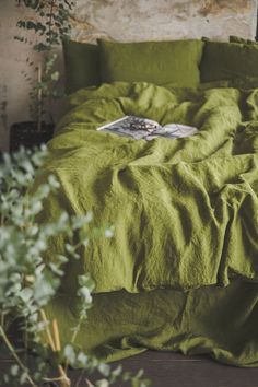 an unmade bed with green linens in a room next to a potted plant