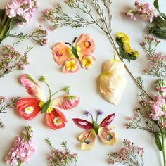 flowers and butterflies are arranged on a white surface with an instagramr for the app