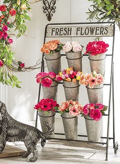 a dog is standing in front of a flower stand