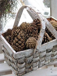 a basket filled with lots of pine cones