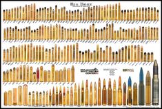 a poster showing different types of crayons and pencils in various shapes, sizes, and colors