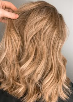 Warm Honey Blonde Highlights Beeline Honey Blonde Hair, Honey Golden Blonde Hair Caramel, Light Caramel Blonde Hair, Caramel Blonde Hair Balayage, Warm Blonde Balayage Honey, Golden Dark Blonde Hair, Blonde Highlights On Dark Blonde Hair, Lived In Honey Blonde, Gold Blonde Hair Honey