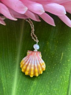 *This is the exact shell you will receive*  Check out all the other amazing shells I have in my shop! www.Etsy.com/shop/lauele  Follow us on instagram for giveaways! @lauelehawaii ▽ ▽ ▽ ▽ ▽ ▽ ▽ ▽ ▽ ▽ ▽ ▽ ▽ ▽ ▽ ▽ ▽ ▽ ▽ ▽ ▽ ▽ ▽ ▽ ▽ ▽ ▽ ▽ ▽ ▽ ▽ ▽ ▽ ▽ ▽ ▽ ▽ ▽ ▽ ▽ ▽ ▽ ▽ ▽ ▽ ▽ ▽ ▽ ▽ ▽ ▽ ▽ ▽ ▽ ▽ ▽ ▽ This shell: This is a smaller sized Hawaiian Sunrise Shell. The vibrant yellow and gold color of this sunrise shell, along with the ridges and shaping, truly do not get more stunning. The gold, yellow, pink and orange colors of this Hawaiian sunrise shell reflect the colors of the quintessential Hawaiian sunrise. This stunning shell is wrapped with a real freshwater pearl, and comes on a gold filled 18 inch chain. (If you'd like no pearl on the necklace, I can re-wrap it without. Please just add that Unique Mother Of Pearl Shell As Gift, Handmade Mother Of Pearl Shell Gift, Handmade Ocean-inspired Shell Gift, Wire Wrapped Shell Necklaces In Shell Shape, Wire Wrapped Shell Necklaces, Hand Wrapped Shell Jewelry, Wire Wrapped Shell Necklace Gift, Wire Wrapped Shell Jewelry As Gift, Shell Shaped Wire Wrapped Jewelry Gift