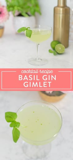 the basil gin gimlet cocktail is garnished with mint