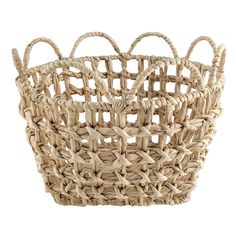 a woven basket is shown on a white background with clippings for the handles