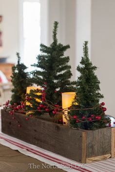 christmas trees in a wooden box with candles