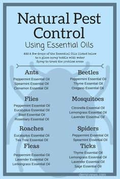 Essential Oils Ants, Bug Spray Recipe, Oregano Essential Oil, Thyme Essential Oil, Spearmint Essential Oil, Cinnamon Essential Oil, Natural Pest Control, Using Essential Oils, Cleaning Recipes