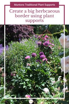 a garden filled with lots of flowers next to green grass and purple plants in the background