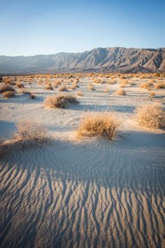 the desert is covered in sand and grass