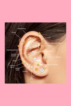 an ear with different types of piercings and their corresponding parts in the side view