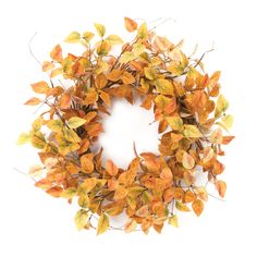 a wreath made out of leaves on a white background