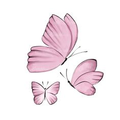 three pink butterflies flying side by side