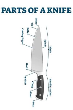 the parts of a knife are labeled