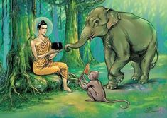 an elephant sitting next to a man in the forest with a bowl on his lap