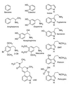 an image of different types of vitamins and their respective names on a white background