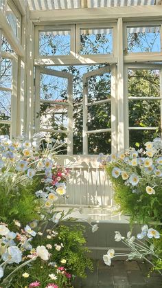 the sun shines through an open window with flowers growing in front of it and below