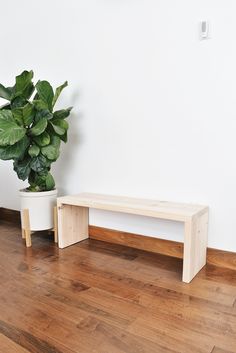 there is a potted plant next to a wooden bench on the floor in front of a white wall