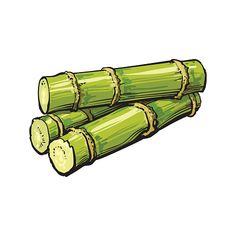 three green bamboo sticks with slices cut in half on white background stock photo - illustration