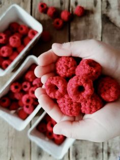 two hands holding red raspberries in white bowls