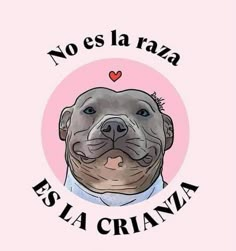 a dog that is wearing a shirt with the words no es la cruzna written on it