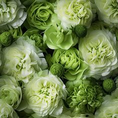 green and white flowers are arranged together