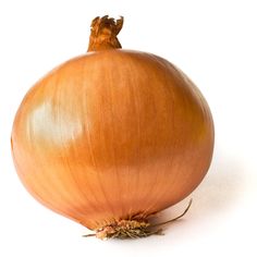 an onion is shown on a white background