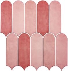 six pink scallops are lined up against a white background, each with different shapes and sizes