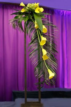 a tall plant with yellow flowers and green leaves in front of a purple curtained backdrop