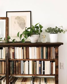 a bookshelf filled with lots of books next to a potted plant on top of it