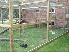 several cats are laying on the grass in an enclosure with wooden posts and fencing around them