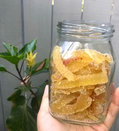 a person holding up a jar filled with yellow gummy bears next to a potted plant