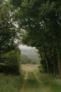 a dirt road surrounded by trees and grass