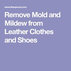 remove mold and mildew from leather clothes and shoes