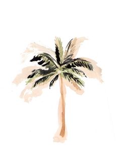 a watercolor painting of a palm tree