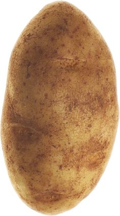 a close up of a potato on a white background with clippings to the side