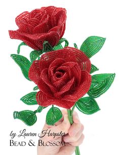 a hand holding a red rose with green leaves