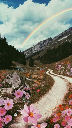 Widget Flower, Rainbow Cottagecore, Kidcore Background, Indie Prints, Surreal Flowers, Swiss Alps Switzerland, Mountain Path, Surrealist Collage, Alps Switzerland